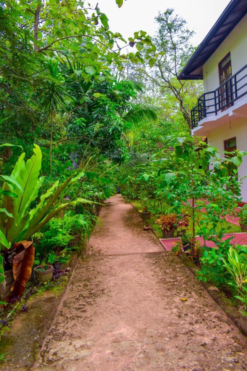 Weaver Bird Villa Habarana Exterior foto